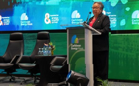 Secretaris-generaal Caricom: ‘Investeringen zijn de sleutel tot het Caribische energiepotenti