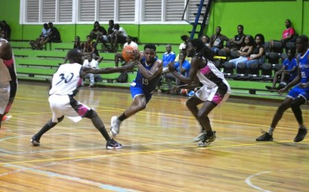 De Arend-coach nog hoopvol: ‘Liever nu fouten maken dan straks’