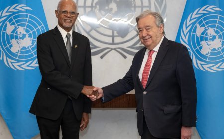 Ambassadeur Kerpens officieel VN-vertegenwoordiger