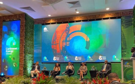 ‘Caribisch gebied moet energietransitie met vertrouwen leiden’