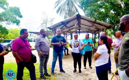 Marinbo-park in Albina wordt in ere hersteld