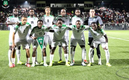 Technische commissie moet paspoortproblemen Natio-spelers oplossen