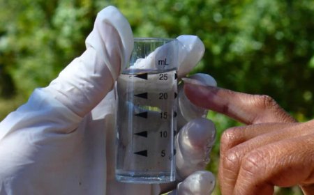 DODELIJKE BACTERIËN MAKEN WATER LAWARIVIER ONDRINKBAAR