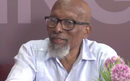 Anton Paal: Oplossing paspoortgate niet in Surinaamse handen