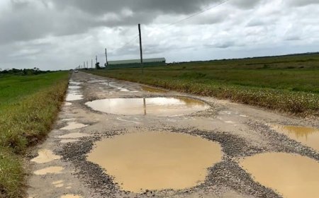 Nickeriaans maanlandschap