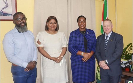 Amerikaanse ambassadeur brengt kennismakingsbezoek aan RO