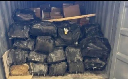 Grote cocaïnevangst in rotterdamse haven