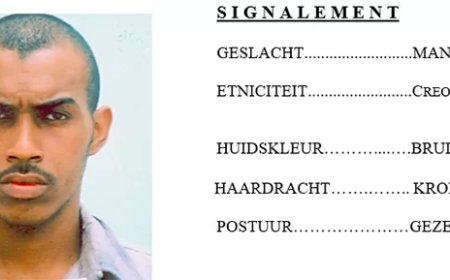 Politie zoekt Pearl Morgenstond in meerdere zware strafzaken