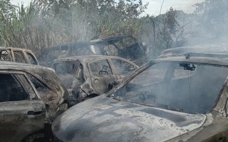 Grasbrand slaat over naar erf: meerdere voertuigen uitgebrand aan Commissaris Weythingweg