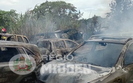 Grasbrand legt aantal auto’s in de as