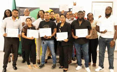 Diplomateninstituut en Braziliaanse partners leiden functionarissen op