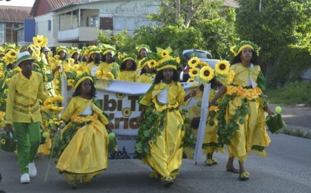61ste AVD: 4.300 wandelaars kleuren vier dagen lang straten van Paramaribo