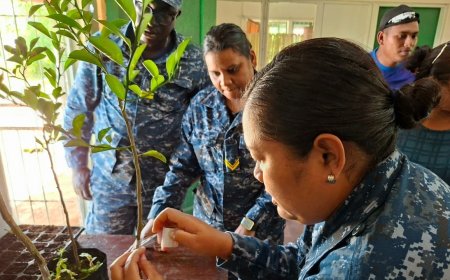 LVV versterkt zelfvoorziening Marinebasis met landbouwtraining