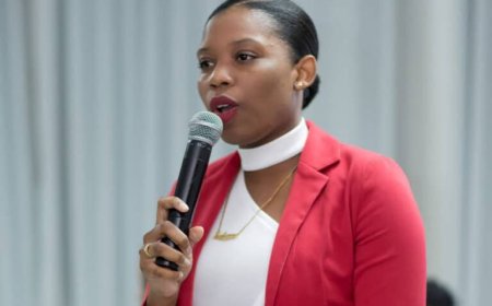 Brown: ‘Toekomst van digitaal entertainment zal niet geïmporteerd worden’