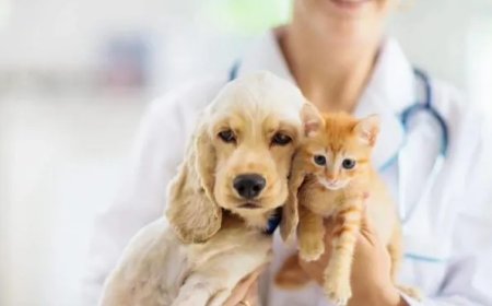 Recht op verlof voor zieke huisdieren in Italië