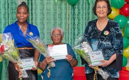 Simons, Demon en Mijnals geëerd met ‘Dya Dya Sranan Uma’-award