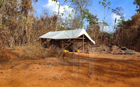 Beroving goudkamp Maripastong: schoten, mishandeling en roof