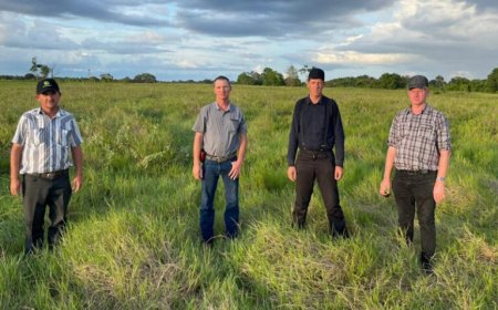 Mennonieten uit Belize willen grootschalige landbouwgemeenschap opzetten in Suriname