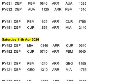 Tekort torenpersoneel Zanderij: SLM past vluchtschema aan