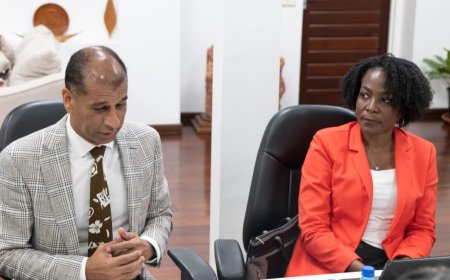 Overheid wil strengere regulering JinChan in goudmijnbouw