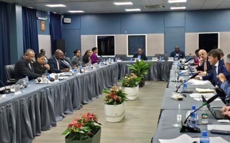 Suriname en EU verdiepen strategische samenwerking tijdens Artikel 3-dialoog