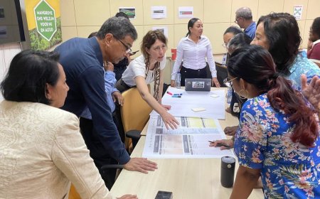 Bigi Pan-project brengt overheid, bedrijven en experts samen rond ‘blue carbon’