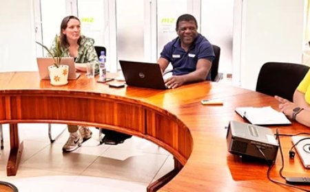 Rode Kruis activeert landelijke aanpak tegen Chikungunya