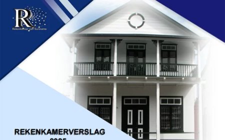 Analyse: Rekenkamer legt systeemfout bloot: probleem is geen geld, maar bestuur