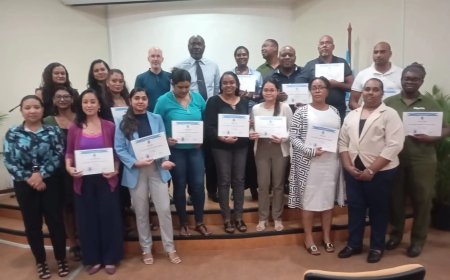 Versterking onderzoeksvaardigheden functionarissen Arbeidsmarkt, SAO, SPWE en SHTTC