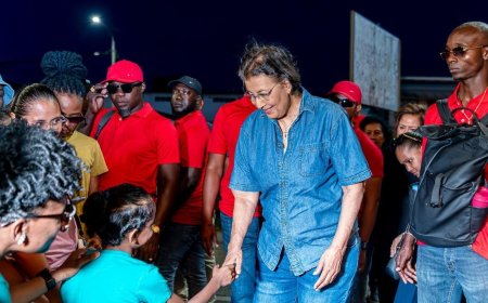 Simons wil Avondvierdaagse naar hoger niveau tillen: “Meer toeristen aantrekken”