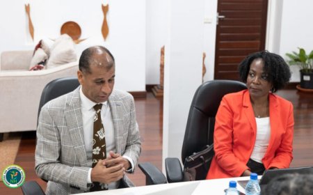 Ministeries werken aan gecontroleerde aanpak JinChan in goudsector