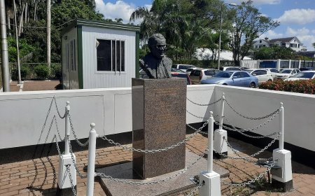 Borstbeeld oud-president Misier gestolen bij Kantongerecht