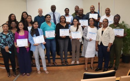 IDB-project versterkt onderzoeksvaardigheden personeel Welzijn en Arbeid