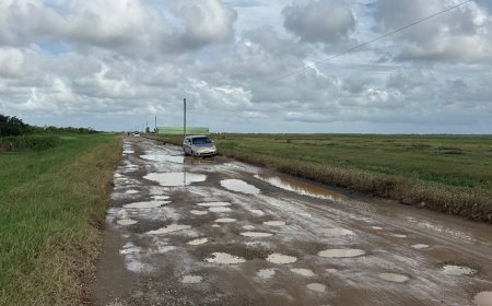 De wegstrekking Wageningen–Groot Henar: Navelstreng van Nickerie’s economie
