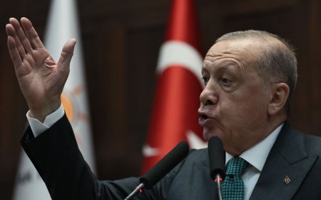 Cel voor oud-oppositieleider Turkije om belediging president Erdogan