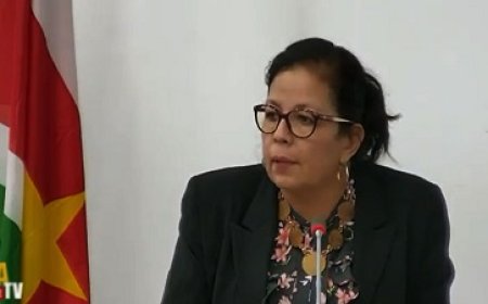 DNA lid Vreedzaam geeft regering en Parlement een voldoend cijfer