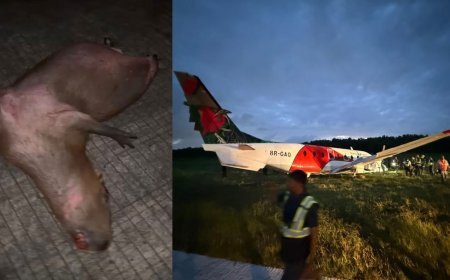 Vliegtuig uit Suriname zwaar beschadigd na botsing met kapua op luchthaven Guyana