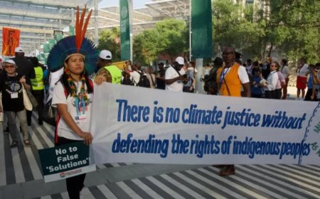 Suriname kan geen klimaatrechtvaardigheid eisen zolang het grondenrechten en leefgebieden neg