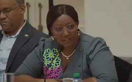 Hervorming nodig na inzet van partijloyalisten op SOZAVO zegt minister Pokie