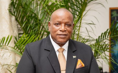 Ambassadeur Panka: diaspora essentieel voor toekomstig beleid Suriname