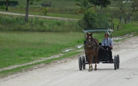BESCHOUWING — Vooral conservatieve mennonieten willen naar Suriname