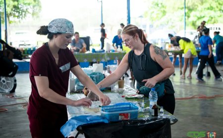 Project moet toename aantal honden en katten beperken