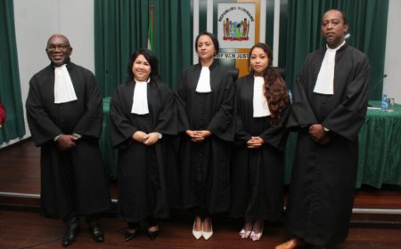 SOVA roept nieuwe advocaten op tot onafhankelijkheid