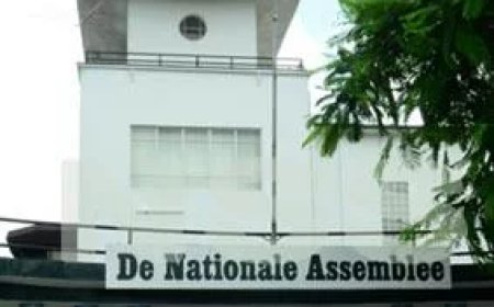 Column: Een parlement in gijzeling van persoonlijke en partij politieke belangen