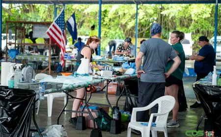 Slechts één sterilisatie- en castratieproject dit jaar door gebrek aan geld