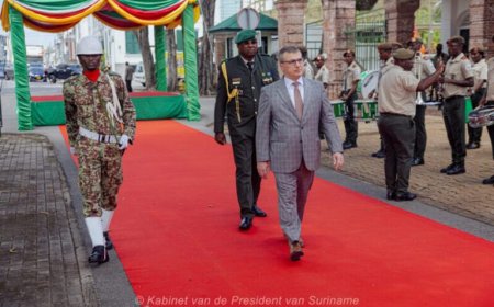 Ambassadeur Costi Santarosa: ‘Er is veel ruimte handelsrelatie Brazilië-Suriname te verdiepen