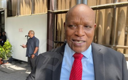 Ambassadeur Ricardo Panka: “Oplossingen voor PSA en diaspora in de maak”