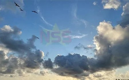 Warme en licht onstabiele dag