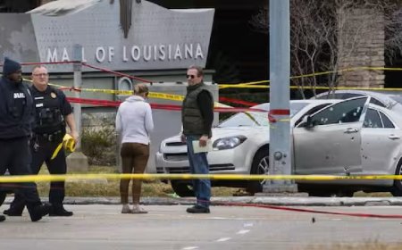 Acht kinderen doodgeschoten bij ‘huiselijk incident’ in Louisiana