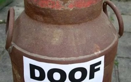 Doofpotkast: wie wordt gezuiverd en wie wordt opgehangen?